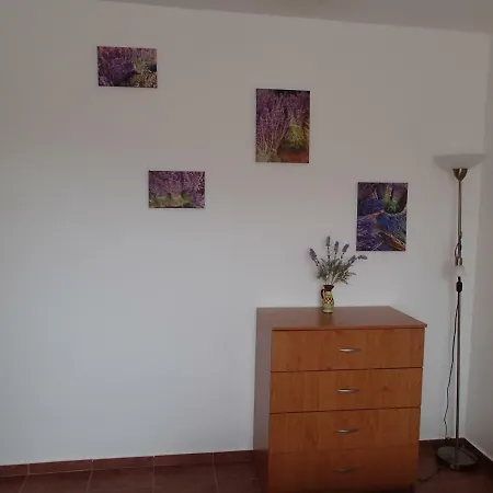 Lotos דירה *