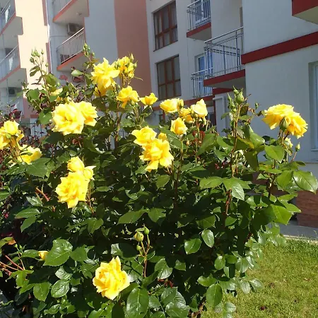 Lotos Apartmán Kranevo